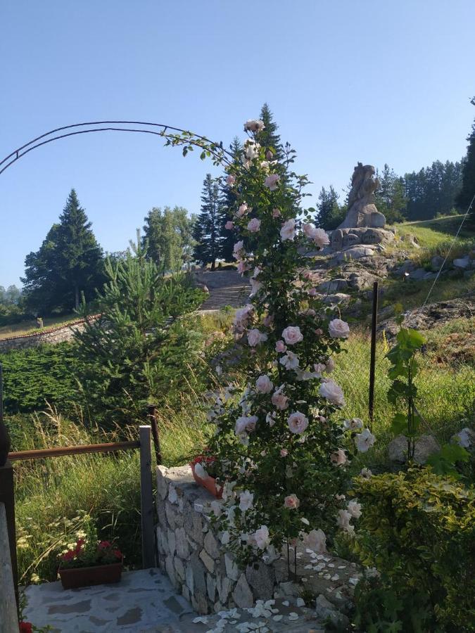 Емили Фемили Хаус Koprivchtitsa Extérieur photo